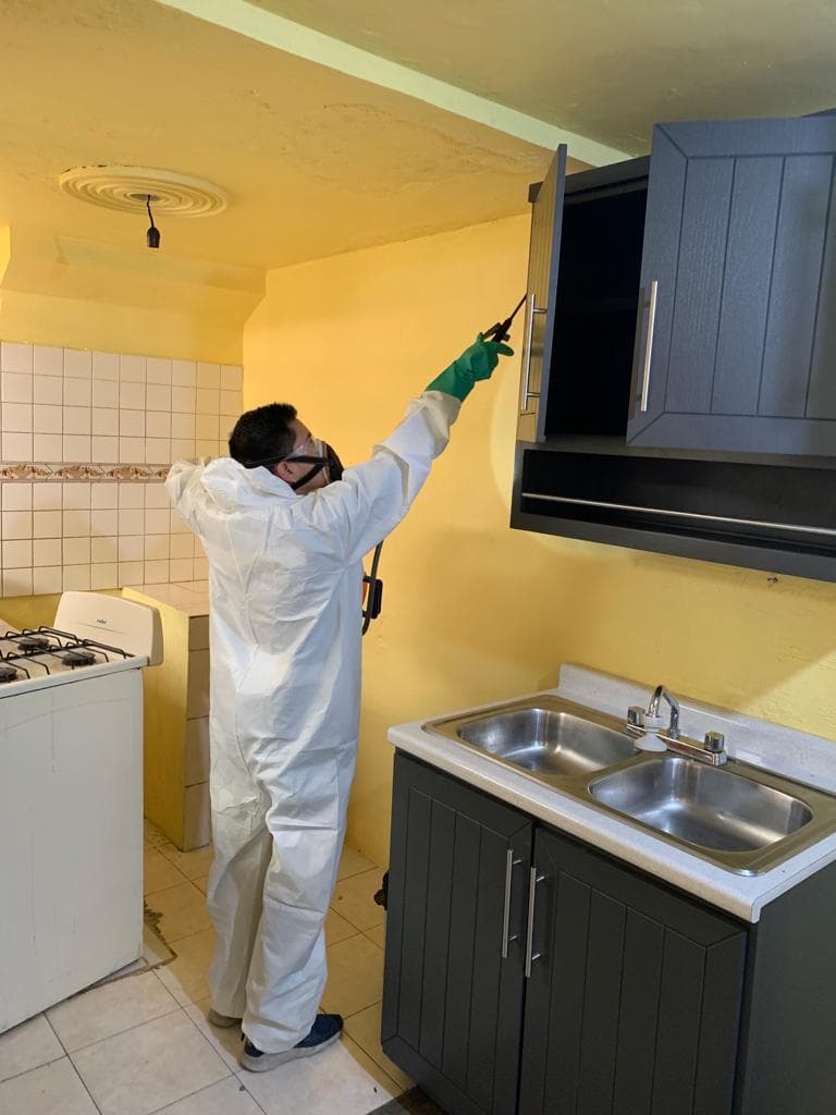 Trabado de fumigación 0