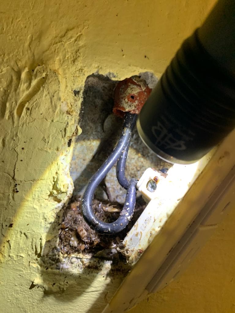 Trabado de fumigación 4